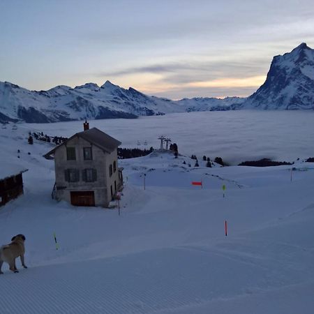 Lodge Bergrestaurant Kleine Scheidegg Zewnętrze zdjęcie