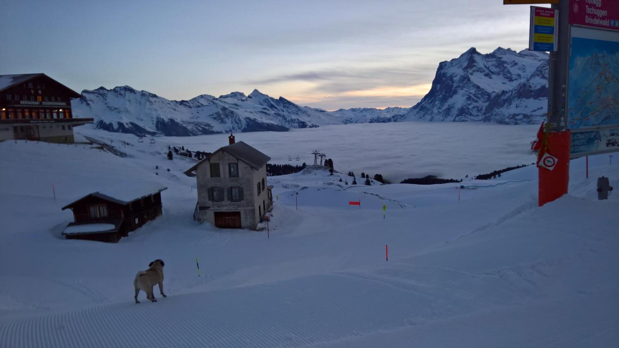 Lodge Bergrestaurant Kleine Scheidegg Zewnętrze zdjęcie