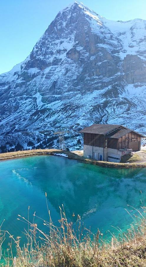 Lodge Bergrestaurant Kleine Scheidegg Zewnętrze zdjęcie